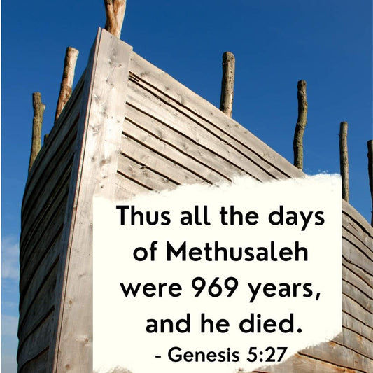 Oh, SonBeams, Readers of my faith journal, boy do I have a mind-bender for you today!