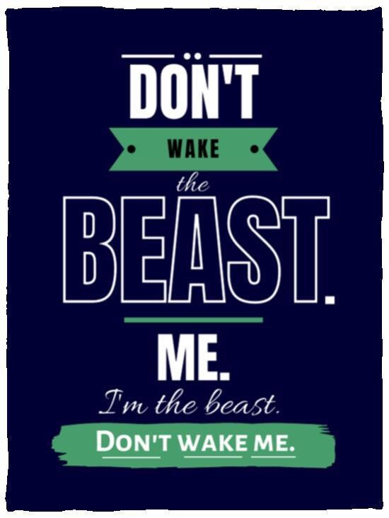 Funny VPS Cozy Plush Fleece Blanket - 30x40: Don’t Wake the Beast