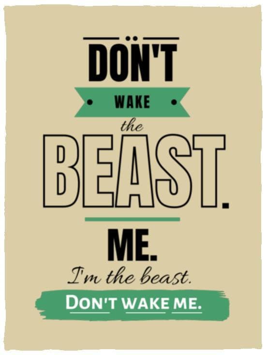 Cuddly VPL Cozy Plush Fleece Blanket - 30inx40in: Don't Wake the Beast