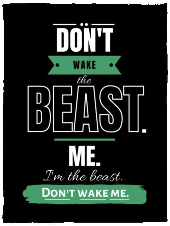 Funny VPS Cozy Plush Fleece Blanket - 30x40: Don’t Wake the Beast
