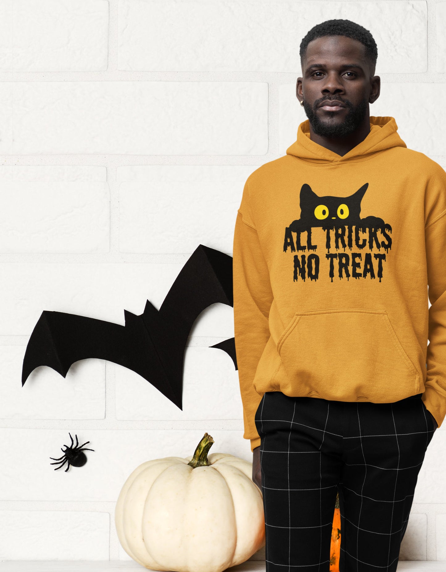 Halloween cat sweatshirt PLUS BONUS GIFT/ pullover hoodie for him or her/ peeking black cat face/ present for teacher, vet techs, pet lovers